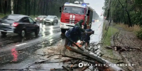 В Белгороде из-за непогоды повалило деревья и подмыло асфальт - Комсомольская Правда