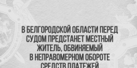 В Белгородской области перед судом предстанет местный житель, обвиняемый в неправомерном обороте средств платежей - Следственный комитет