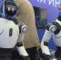 Технологии и цифровую трансформацию ТЭК обсуждают на площадках TNF 2026 - ГТРК Регион-Тюмень