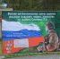 Военно патриотические сборы в Кулебаках: школа мужества и памяти - Город Кулебаки