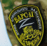 «Стальной кулак» из Павловского Посада: командир Т-80 с позывным «Карась» попал в эфир НТВ - MosRegToday.Ru