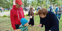 Праздник Королевы полей - ЦБС Меленковского района