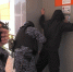 Сотрудники Росгвардии провели во Владимире комплексную тренировку на базе 23 гимназии - Телеканал Вариант