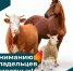 РОССЕЛЬХОЗНАДЗОР ИНФОРМИРУЕТ ГРАЖДАН! - Варнавинский муниципальный округ