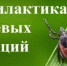 Управление Роспотребнадзора напоминает: лучшая специфическая профилактика клещевого энцефалита – это вакцинация - Юсьвинский район