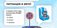 В МАДИ рассказали, почему опасно оставлять животных одних в салоне автомобиля - Дорожная инспекция