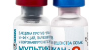 Выявлено несоответствие качества образцов лекарственного препарата для ветеринарного применения «Мультикан-8» - Россельхознадзор