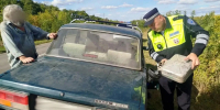 Под Воронежем полицейские помогли 75-летнему водителю, застрявшему на трассе без бензина - Комсомольская Правда
