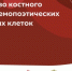 Что мы знаем о донорстве костного мозга - МинЗдрав