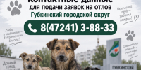 подача заявок на отлов безнадзорных животных. - Губкинский городской округ
