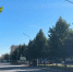 В Петербурге на улице Ленсовета установят 111 фонарей - Spbdnevnik.ru