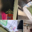 InShot_20260915_143214828 - ЗА Новомосковск