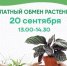 В Гатчине пройдет - Гатчинская служба новостей