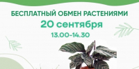 В Гатчине пройдет - Гатчинская служба новостей
