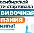 Обновлённые вакцины от гриппа поступили в Новосибирскую область - Gorsite.Ru