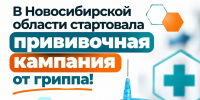 Обновлённые вакцины от гриппа поступили в Новосибирскую область - Gorsite.Ru