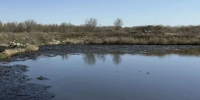 Самарская область подала заявку на конкурс для очистки Мазутного озера - Комсомольская Правда Самара