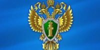 Проведена проверка исполнения санитарно-эпидемиологического законодательства, в ходе которой выявлены нарушения. - Волоконовский муниципальный округ