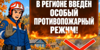 С 26 августа на территории Курской области введен особый противопожарный режим, который подразумевает ряд запретов и ограничений. - Kursk.Com