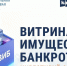 «Витрина имущества банкротов»: новый цифровой сервис для бизнеса и инвесторов - Министерство промышленности и энергетики