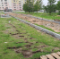 initsiivka_3.jpg - ИД Новости Югры