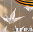 Всероссийская акция «Дни белых журавлей»: память, объединяющая поколения - Город Владимир