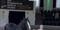 80-летний юбилей породы - Минсельхоз Владимирской области