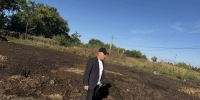 В Новомосковске экологи нашли огромные навалы навоза недалеко от жилых домов на муниципальной земле - ИА Новомосковск Сегодня