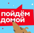 В Черняевском лесу пройдет выставка-пристройство собак «Пойдем домой» - VikiPerm.Com