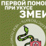 Змеиный этикет: как вести себя при встрече с пресмыкающимся? - МЧС Псковской области