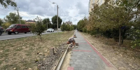 Глава Анапы проинформировала о ходе благоустроительных работ в городе - Anapa-News.Com