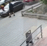 Пьяный житель Подмосковья превратил чужие автомобили в батут для дочери (видео) - Chehov-Vid.Ru