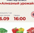В Рузской библиотеке пройдёт мастер-класс «Алмазный урожай» - Рузский городской округ