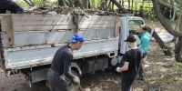 В Иркутске с начала года убрали больше трёх тысяч незаконных свалок - КП-Иркутск