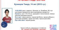 background - Вологда-поиск