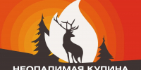 Юных жителей Киришского района приглашают принять участие в творческом конкурсе по пожарной безопасности «Неопалимая купина» - Сетевое издание Киришский факел