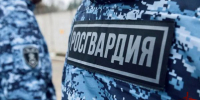 Росгвардейцы задержали подозреваемого в совершении преступления против половой неприкосновенности в Подмосковье (видео) - Росгвардия