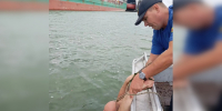 На Дону спасатели в последний момент вытащили из воды тонущего мужчину - Bloknot-Rostov.Ru