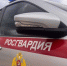 В Волжском росгвардейцы пресекли два хищения в торговой сети - Блокнот Волжского