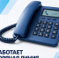 В Подмосковье открыта горячая линия по вопросам голосования - Администрация г. Домодедово