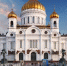 Фото: TTstudio/Shutterstock/Fotodom - Ямал-Медиа