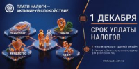 Лыткаринцам напоминают об уплате налогов до 1 декабря - Администрация г. Лыткарино