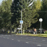 Ремонт проспекта Ленина в Барнауле продолжится в 2027 году - Сетевое издание Толк