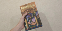 Гарри Поттер, Дубровский и Печорин: какими литературными героями вдохновляются российские школьники - Asn24.Ru