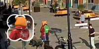 В Ярославле ищут вандала, испортившего медведя в пешеходном центре - YarNews.Ru