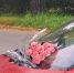 2-Z9uJQhHjgeXDVuKVDx6Owhpd3TOi9Y8zu2VM7FqnXlfHoXHit96lSt9NMOKx3H-CxQLuii2.jpg - Ozersk74.Ru