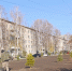 Почти 25 тысяч деревьев и кустарников высадили в Новосибирске в 2025 году - Precedent.TV