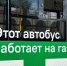 Фото: max.ru/blagoveshchensk_rf - Амурское областное телевидение