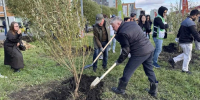 «Аллею народного единства» заложили в Преображенском парке Екатеринбурга - Единая Россия