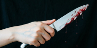 Вологжанка напала с ножом на семейную пару из-за долга по квартире - OnlineVologda.Ru